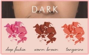 Blush on Dark Skin